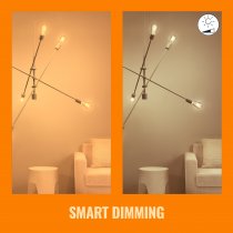 WiZ ST64 E27 Amber Filament Smart Bulb with Bluetooth 2-pack